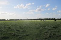 Property for sale in Okeechobee County, Florida