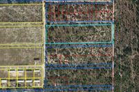 Undeveloped Land for sale in Levy County, Florida