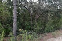 Property for sale in Levy County, Florida