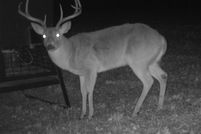 Property for sale in Montague County, Texas