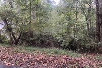 Undeveloped Land for sale in Forsyth County, Georgia