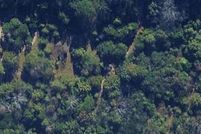 Property for sale in Bleckley County, Georgia