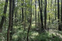 Property for sale in Haralson County, Georgia