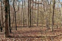 Undeveloped Land for sale in Cherokee County, Alabama