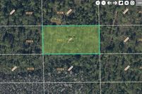 Undeveloped Land for sale in Orange County, Florida