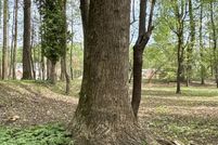 Property for sale in Beaufort County, North Carolina