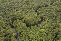 Lakefront Property for sale in Orangeburg County, South Carolina