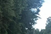 Property for sale in Barnwell County, South Carolina