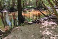 Property for sale in Barnwell County, South Carolina