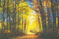 Property for sale in Aiken County, South Carolina