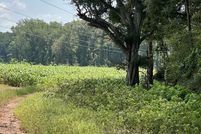 Undeveloped Land for sale in Morgan County, Georgia