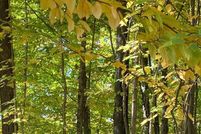 Property for sale in Lincoln County, Wisconsin