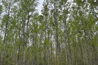 Property for sale in Oneida County, Wisconsin