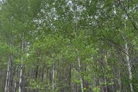 Property for sale in Oneida County, Wisconsin