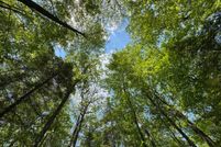 Undeveloped Land for sale in Oneida County, Wisconsin