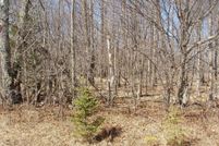 Undeveloped Land for sale in Price County, Wisconsin