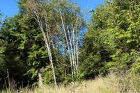 Undeveloped Land for sale in Tillamook County, Oregon