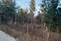 Property for sale in Levy County, Florida