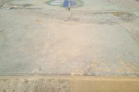 Undeveloped Land for sale in Hale County, Texas