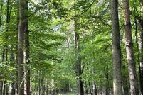 Property for sale in Sanilac County, Michigan