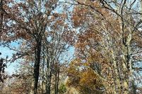 Property for sale in Bollinger County, Missouri