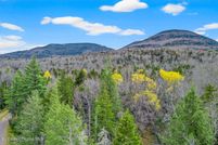 Undeveloped Land for sale in Greene County, New York