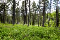 Undeveloped Land for sale in Flathead County, Montana