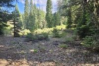 Undeveloped Land for sale in Trinity County, California