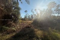 Undeveloped Land for sale in Lee County, Florida