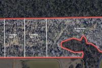 Undeveloped Land for sale in Angelina County, Texas