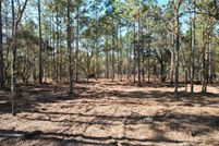 Property for sale in Levy County, Florida