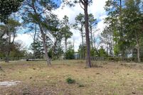 Undeveloped Land for sale in Levy County, Florida