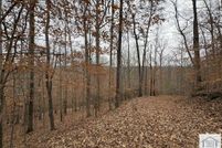 Property for sale in Henry County, Virginia