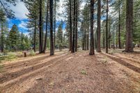 Property for sale in Nevada County, California
