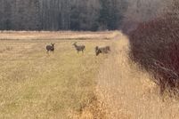 Property for sale in Chippewa County, Michigan