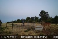 Undeveloped Land for sale in Jones County, Texas