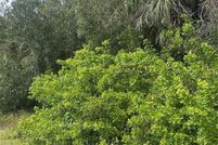 Property for sale in Sarasota County, Florida