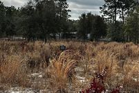 Property for sale in Marion County, Florida