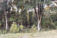 Undeveloped Land for sale in Marion County, Florida