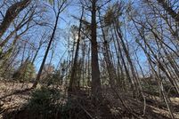 Property for sale in White County, Georgia