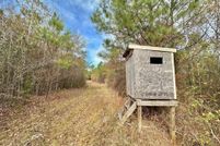 Property for sale in Attala County, Mississippi