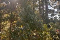 Property for sale in Brunswick County, North Carolina