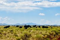 Undeveloped Land for sale in Coconino County, Arizona
