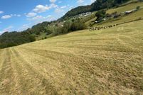 Property for sale in Scott County, Virginia