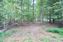 Undeveloped Land for sale in Pike County, Ohio