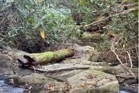 Property for sale in Stokes County, North Carolina