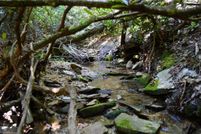 Property for sale in Stokes County, North Carolina