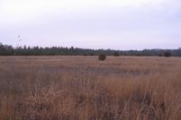 Property for sale in Crawford County, Michigan