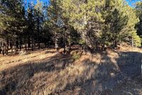 Property for sale in Colfax County, New Mexico