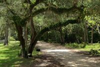 Undeveloped Land for sale in Flagler County, Florida